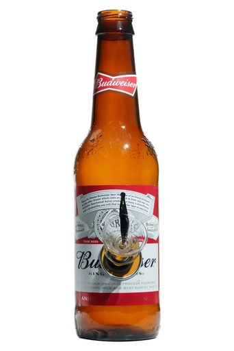 Beer Bottle Water Pipe