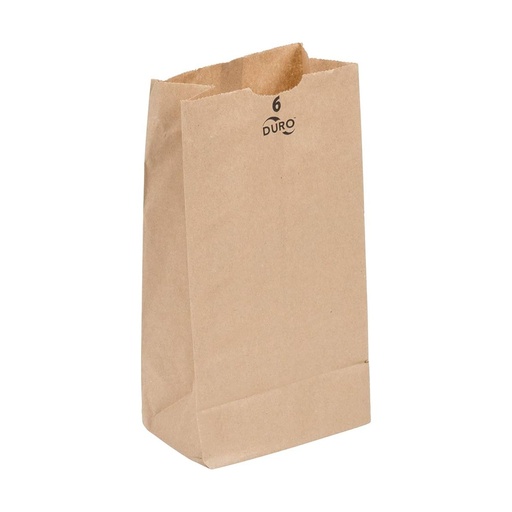 [INT-PP-00282] Kraft Bag (12.07x7.47x21.74) 3# 500CT Bx